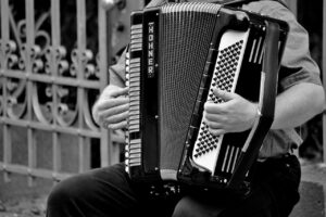 accordion, musical instrument, musician-1466482.jpg